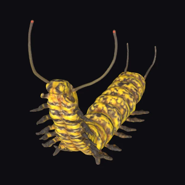 Yellow Caterpillar Creature