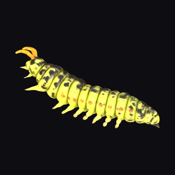 Yellow Spotted Caterpillar
