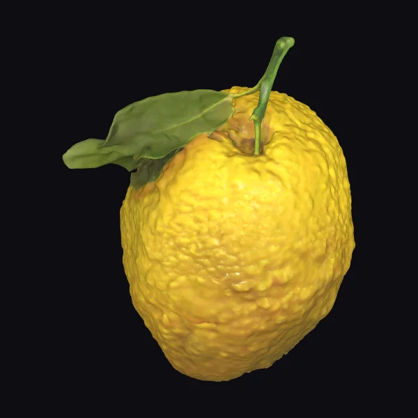 Yellow Citrus Fruit
