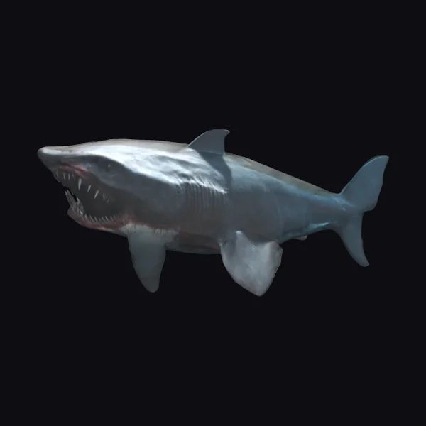 Giant Open Mouth Shark