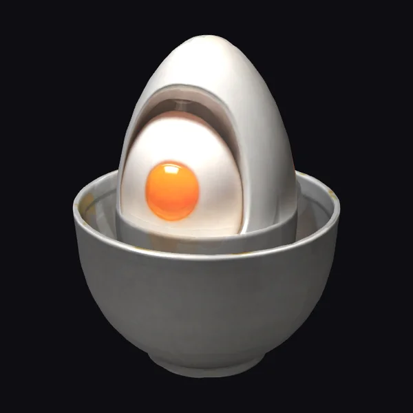Egg in Toilet Bowl