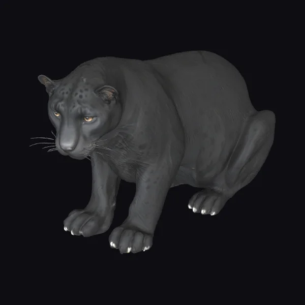 Black Panther Crouching Low