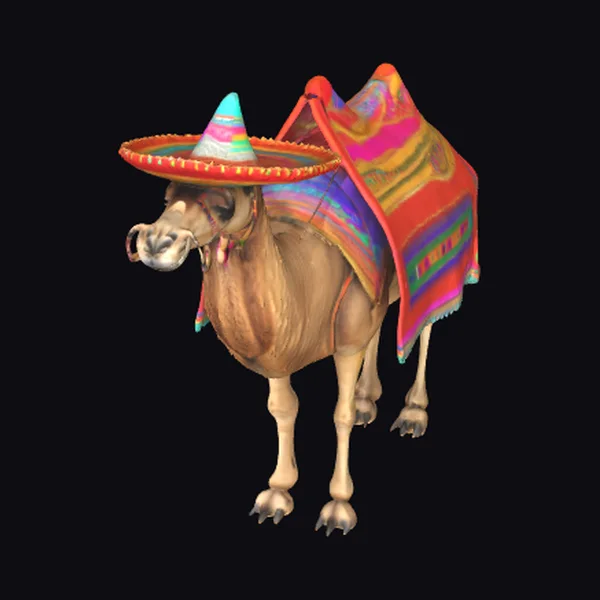 Mexican Camel Dressed Festively