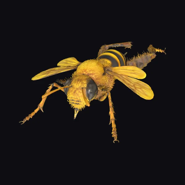 Yellow Fuzzy Buzzy Insect