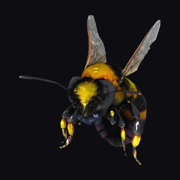 Detailed Bumblebee Model