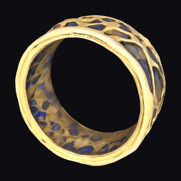 Gold Ring with Blue Inlays