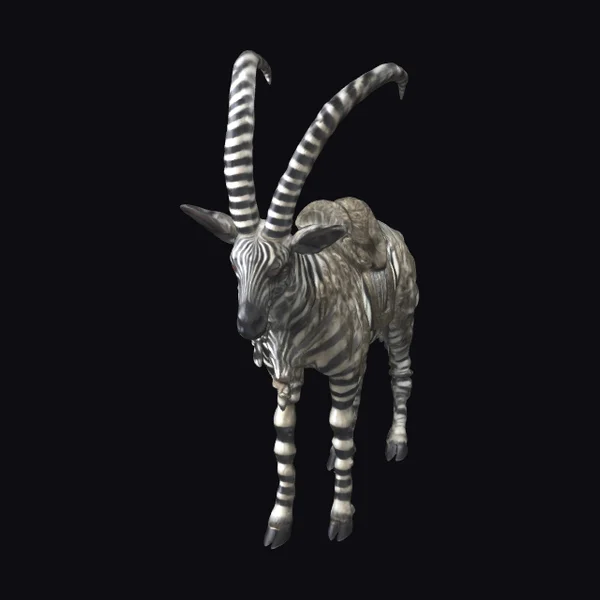 Zebra Chimera Saddle