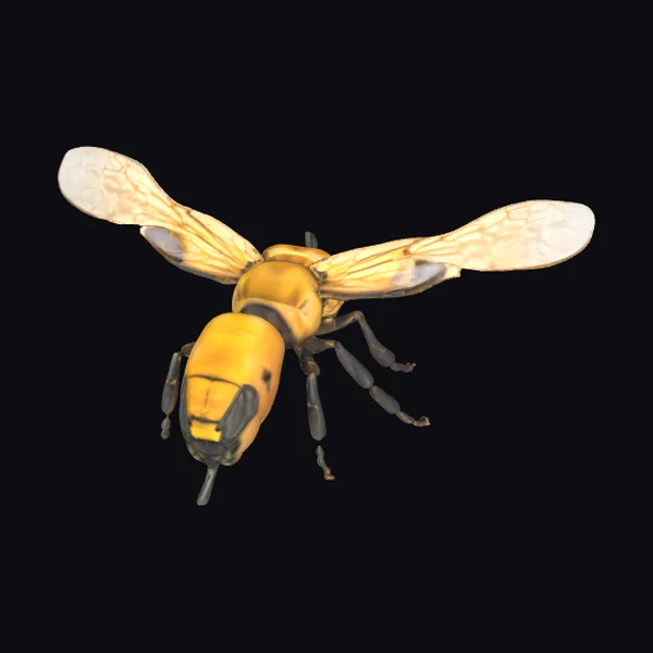 Golden Winged Insect