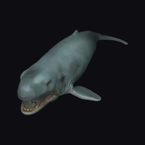 Giant Open Mouth Whale