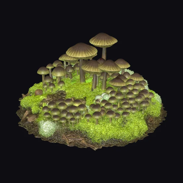 Mushroom Patch Scene