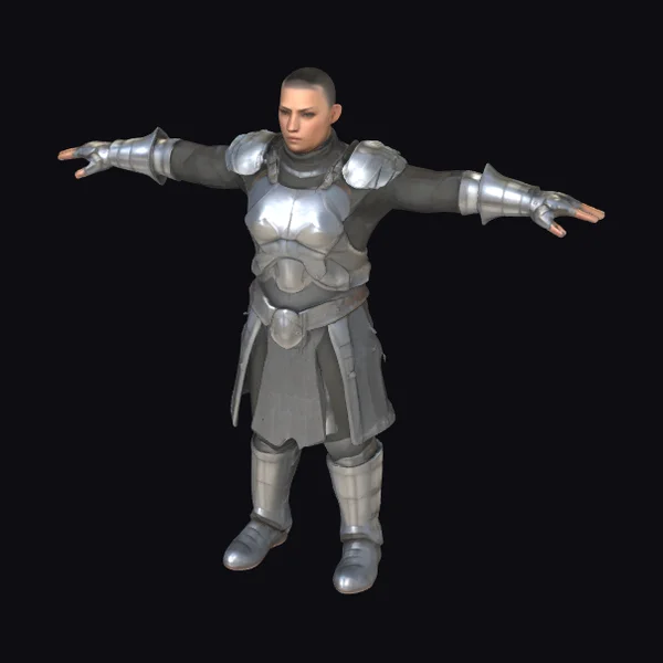 Armored Human Warrior