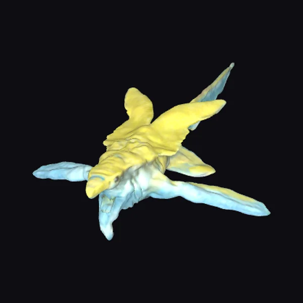 Yellow Blue Sea Creature