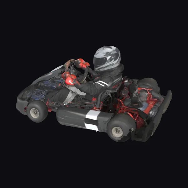Racing Go-Kart Driver