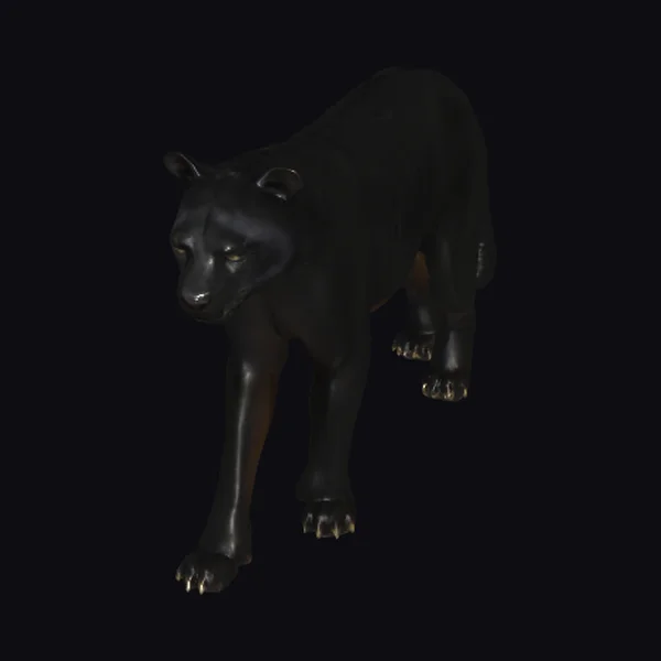 Black Panther Stalking Forward