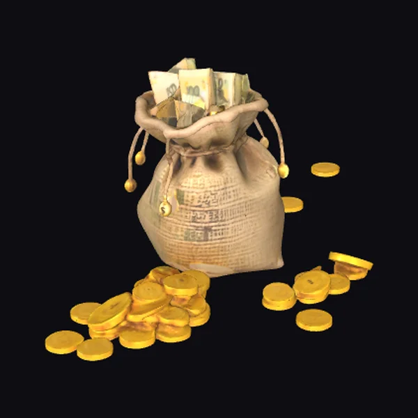 Money Bag with Coins