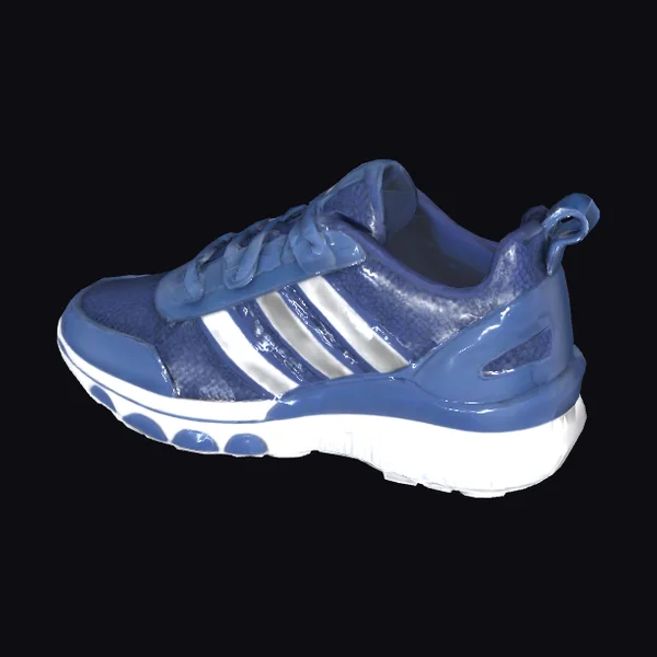 Blue Sports Shoe