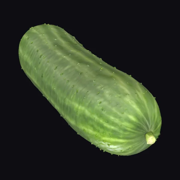 Cucumber with Small Bumps