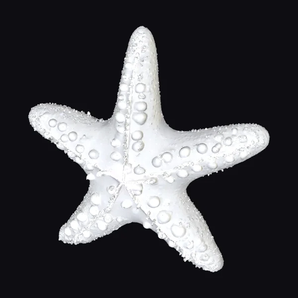 White Starfish Sculpture