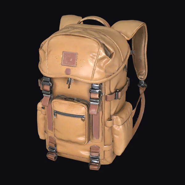 Vintage Leather Backpack