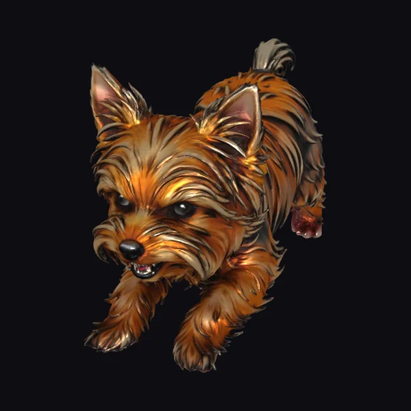 Angry Yorkshire Terrier Dog