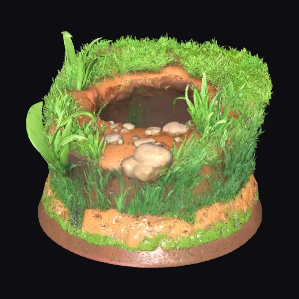 Rabbit Burrow Entrance