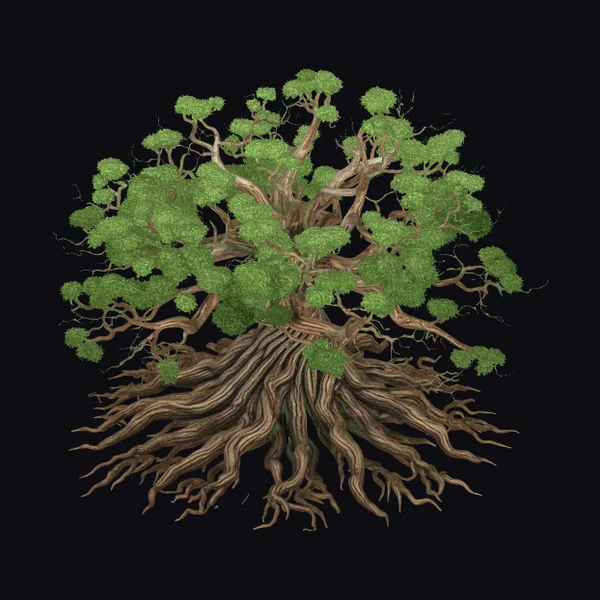 Ancient Tree with Exposed Roots