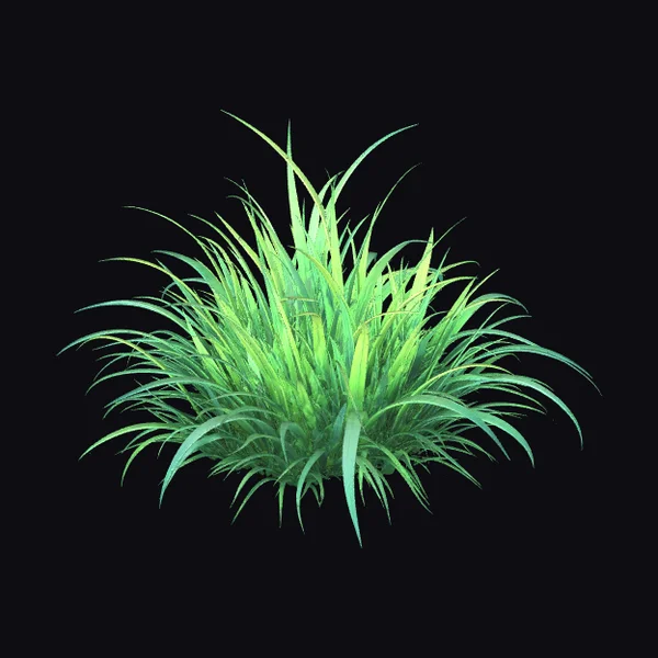 Emerald Grass Tuft