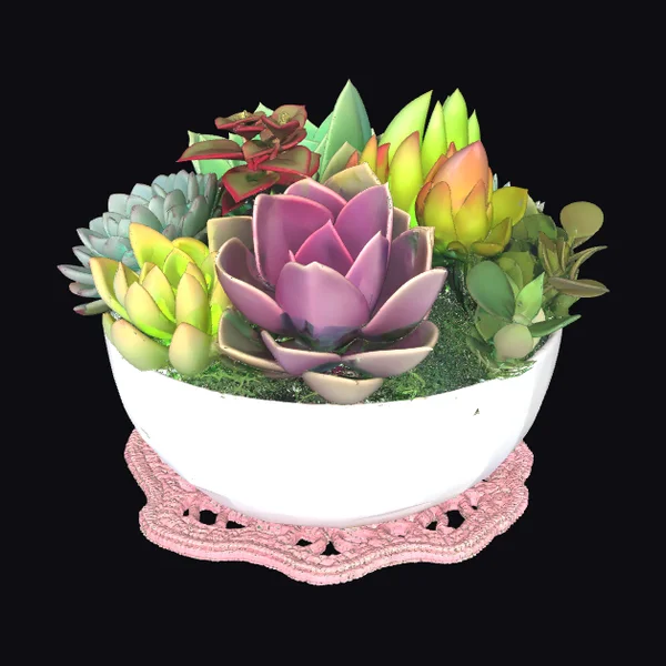 Rainbow Succulent Bowl