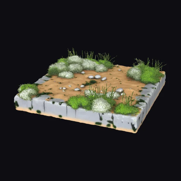 Realistic Terrain Section