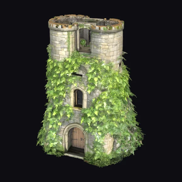 Overgrown Stone Castle Tower
