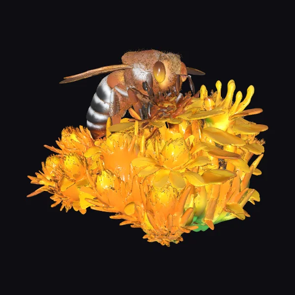 Bee on Yellow Blooms