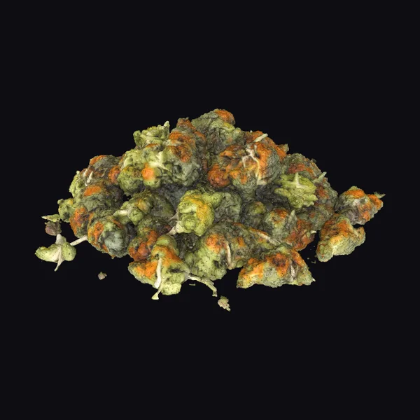 Dried Cannabis Buds