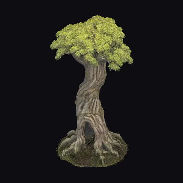 Twisted Tree with Gateway